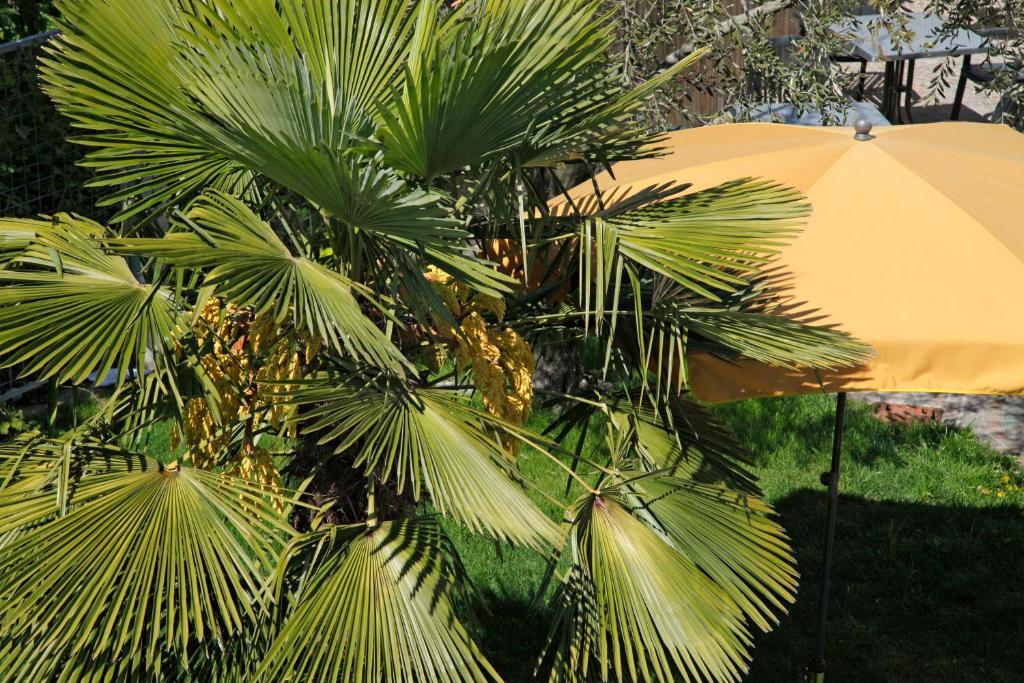 Jardis (adults Only) Hotel 3*