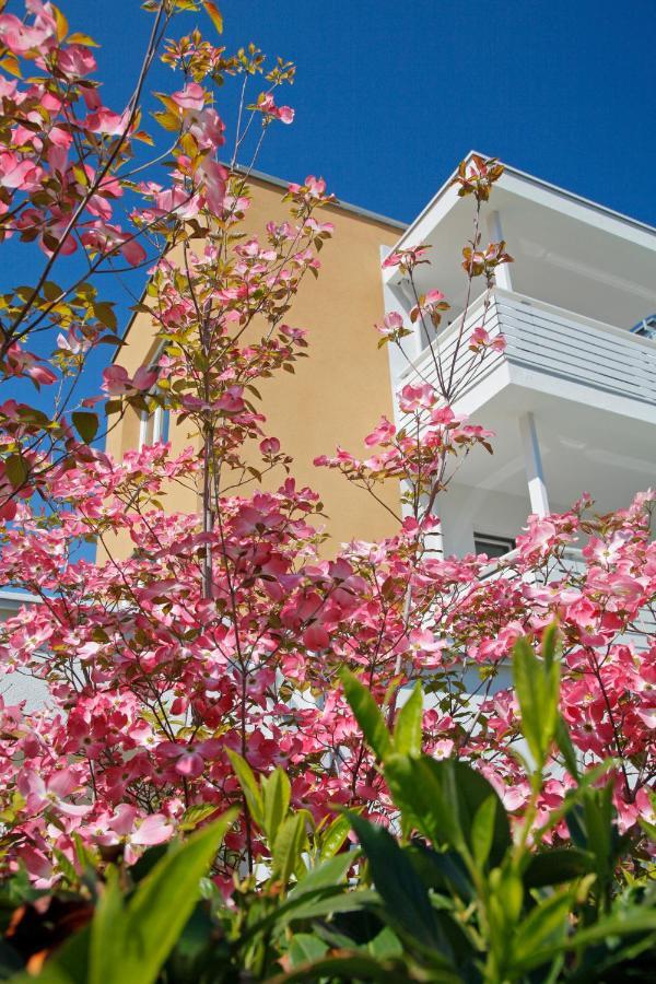 Jardis (adults Only) 3* Lana